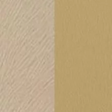 Форест бейдж/Арена бейдж