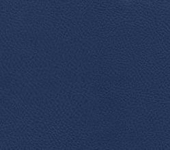 кож. зам. синий