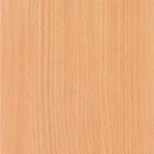 Бук светлый