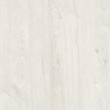 Дуб Наварра