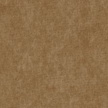 Ткань велюр T-10 темно-бежевый