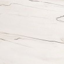 Таксония айвори