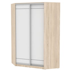 Шкаф-купе YA-230х1400-718-2(ДСС-Белый-D1D1)