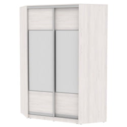 Шкаф-купе YA-230х1400-718-1(ЯАС-D3D3)