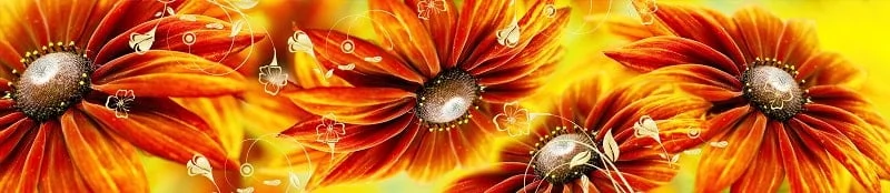 Глянцевый фартук с эффектом мерцания (КОМПОЗИТ) Оранжевые герберы