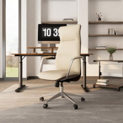 Эргономичное кресло руководителя Eureka OC08-OW, белое