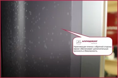 Двустворчатый гардеробный шкаф Хит-24-14-15 Аруба Венге