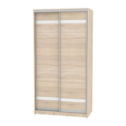 Шкаф-купе B-220х120х60-1(ДСС-D9D9)