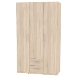 Шкаф распашный Р-230х135х45-2(ДСС) / R-230х135х45-2(ДСС)