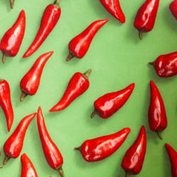 Кресло MELODY ткань/флок, олива, Botanica 03 pepper/23