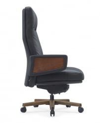 Кресло Rafael A2119 Черный