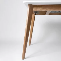 Стол обеденный Пегас Plus 160x95 Эмаль белая Морилка Дуб золотой