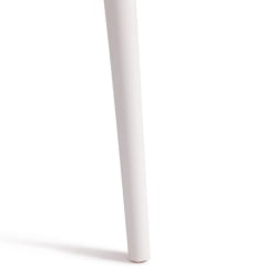Стул Кат Чаир (мод. 028) пластик, 53 кс 59 кс 82,5 см, белый (Вхите C0057) / Cat Chair (mod. x x (White C0057)