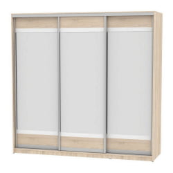 Шкаф-купе Б-230х235х60-3(ДСС-Д10Д10Д10) / B-230х235х60-3(ДСС-D10D10D10)