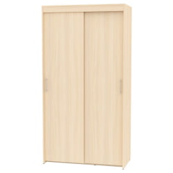 Шкаф-купе T-1-230х120х60(ДМ-2)