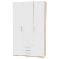 Шкаф распашный Р-230х135х45-2(ДСС-Белый) / R-230х135х45-2(ДСС-Белый)