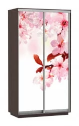 Шкаф-купе со стеклом Экспресс Дуо 1200х2200h Сакура/Венге