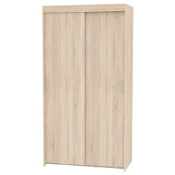 Шкаф-купе T-1-230х120х60(ДСС-2)