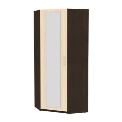 Шкаф распашный YR-198х884-M(Венге-ДМ-1)