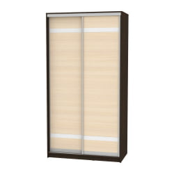 Детский шкафы-купе B-220х120х60-3(Венге-ДМ-D9D9)