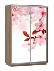 Шкаф-купе двухдверный Экспресс Дуо 1400х2200х Сакура/Ясень шимо тёмный / 1400х2200h