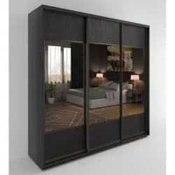 Шкаф-купе 3-х дверный Акцент-Дуэт Д 1500х600 Венге