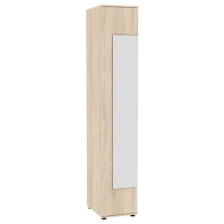 Шкаф распашный Алиса (H1_M) 2230х400х540 с торцевой ручкой (ДСС)