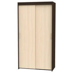 Шкаф-купе T-1-230х120х60(Венге-ДМ-3)