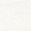 Consul White