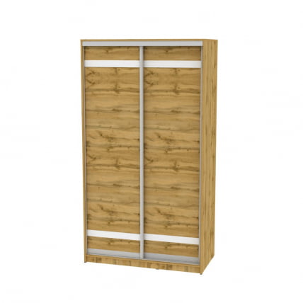 Шкаф-купе B-230х120х60-3(ДВ-D9D9)_0