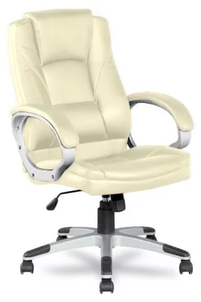 Кресло руководителя BX-3177/Beige_0