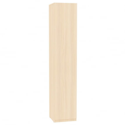 Шкаф распашный R-230х45х60-1-PO(ДМ)_0