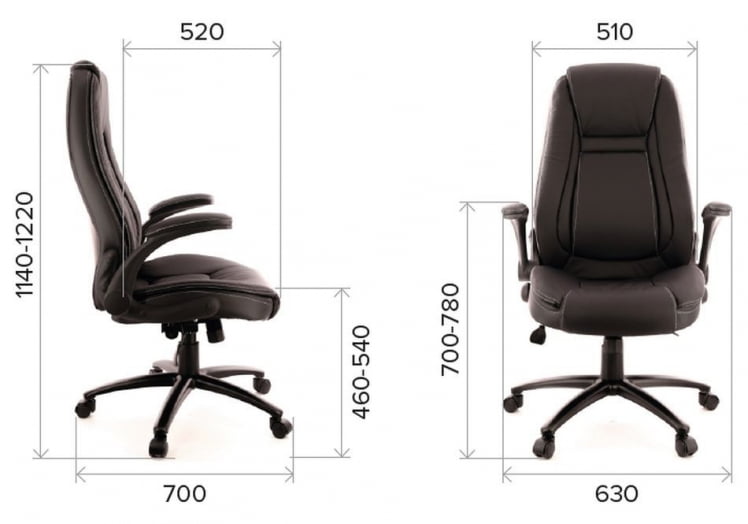 Кресло для руководителя Everprof Trend TM Экокожа Черный_3