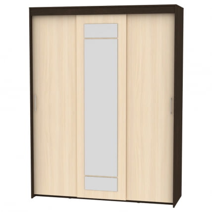 Шкаф-купе T-3-230х175х60-M(Венге-ДМ-6)_0