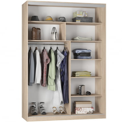 Шкаф-купе Б-230х160х60-1(ДСС-Д10Д10) / B-230х160х60-1(ДСС-D10D10)_1