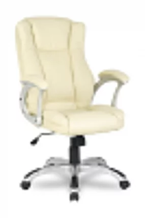 Кресло руководителя HLC-0631-1/Beige_0