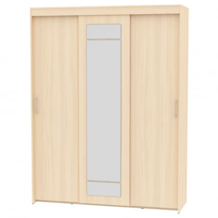 Шкаф-купе T-3-230х175х60-M(ДМ-9)_0