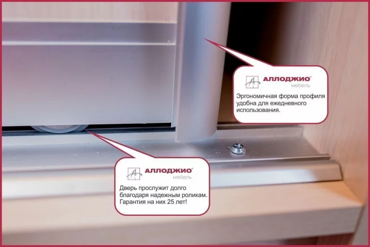 Шкаф-купе Хит-24-14-11 Аруба Венге_6