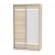 Шкаф-купе B-220х135х60-1(ДСС-D9D10)_357908
