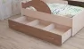 Ящик для кровати 160 РАДУГА Ясень шимо темный / Ясень шимо светлый_80780
